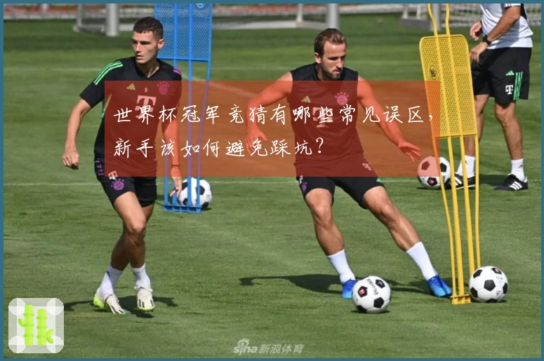 世界杯冠军竞猜有哪些常见误区，新手该如何避免踩坑？