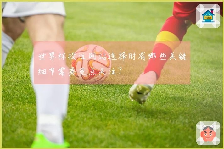 世界杯投注网站选择时有哪些关键细节需要重点关注？